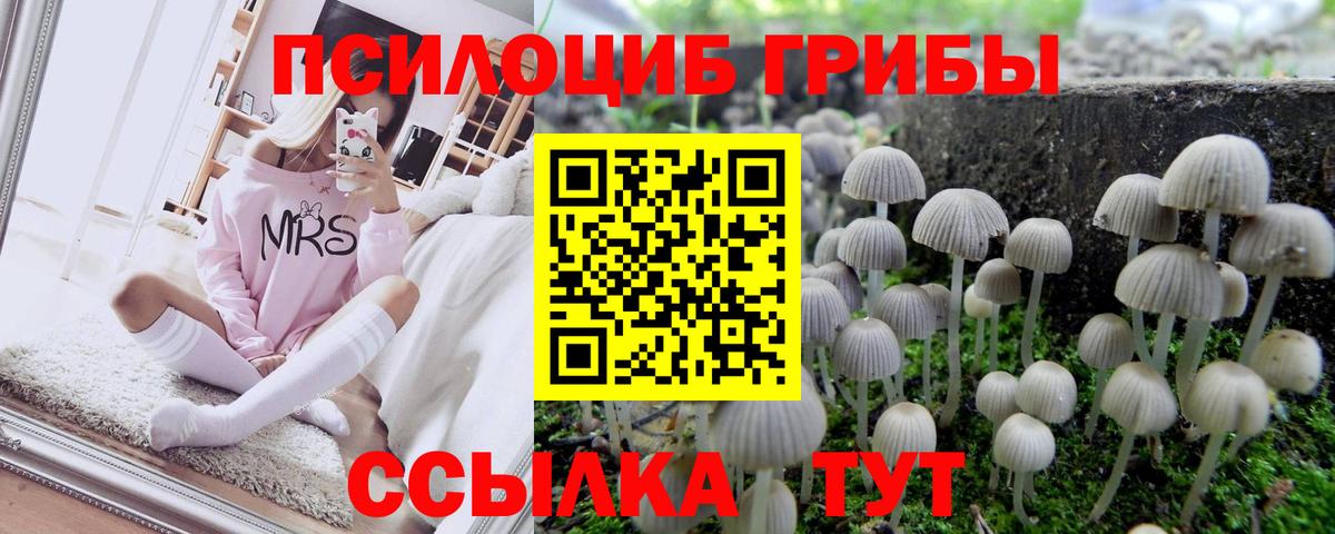Калининград  Галлюциногенные грибы мухоморы  Вход с VPN 